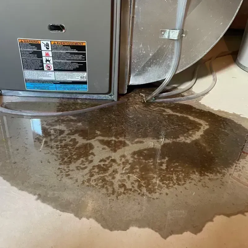 Appliance Leak Cleanup in Evanston, IL